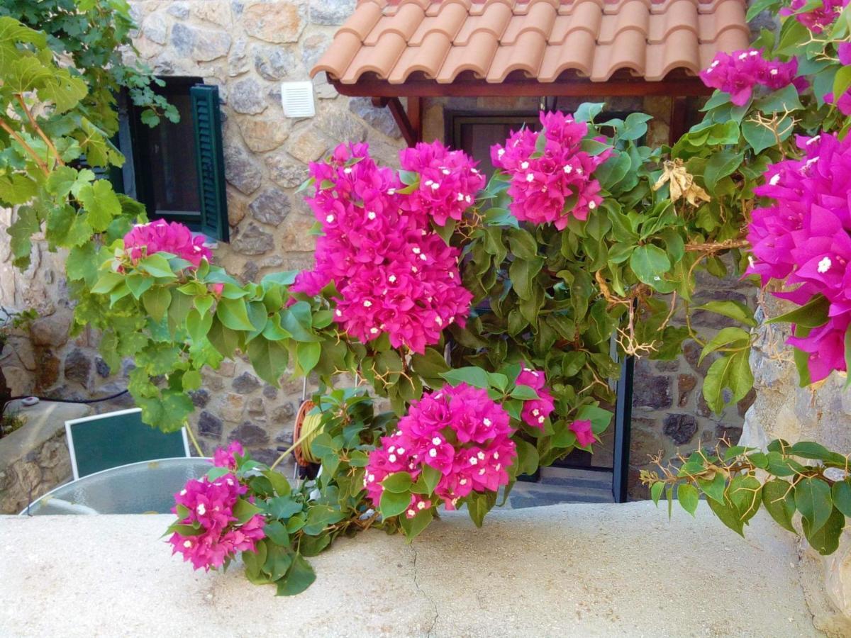 Agistri Sophia'S Apartment Скала Экстерьер фото